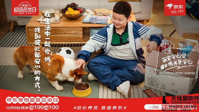 iPhone12屏幕背后中國京東方慘被淘汰日本巨頭也苦不堪言3