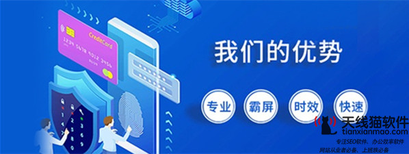網站SEO優化_整站優化SEO做百度競價時關鍵詞排名第一效果就好嗎_SEO優化SEO推廣SEO服務天線貓_1