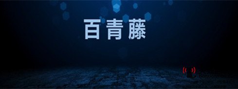 網(wǎng)站優(yōu)化和推廣-網(wǎng)站做百度推廣好還是做seo優(yōu)化好1