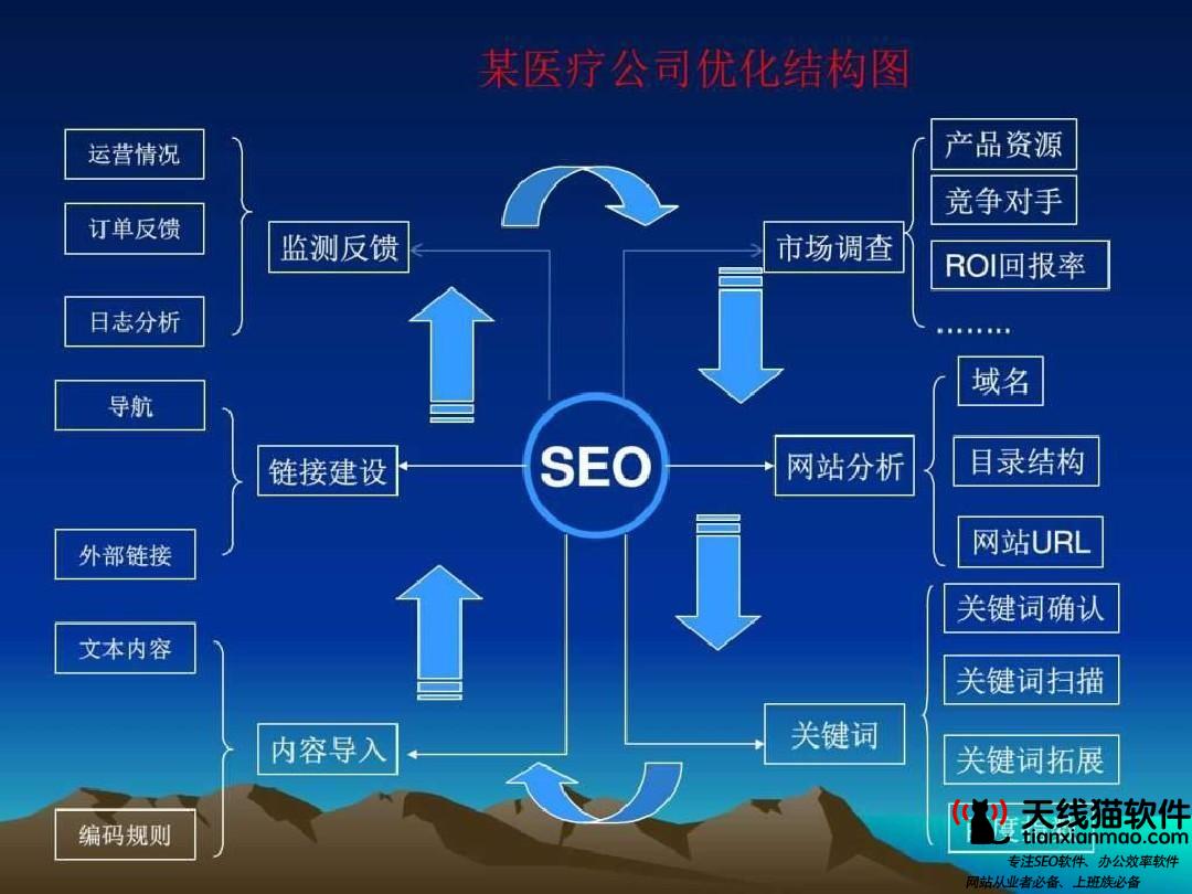 網站排名前三SEO人員該怎么做_天線貓seo