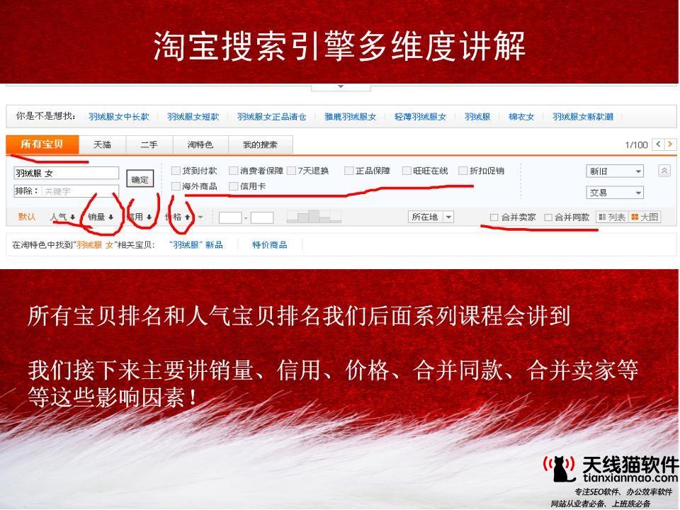 百度seo快排必看seo快速排名工具
