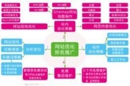 陽明塑業互聯網品牌提升就找天線貓2
